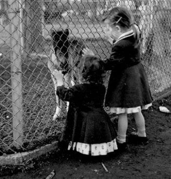 Eileen (Johnston) Dickinson with her older sister Peggy visit the Zoo in 1955